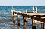 Hopkins Belize Feb 2022